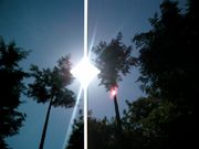 ���Ҥ�¸�ߤ�ͤ����
