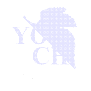 【YOCH計画2000 with H】