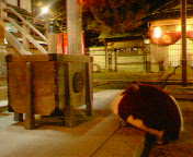 �֤�����