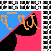 �Ҳ�ͥ��������bud_dy