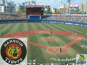 横浜スタジアムで阪神を応援する