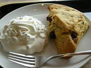 ���祳�졼�ȥ���󥯥�������