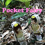 Pocket Fairy