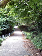 �ޤä��껳�Ф��