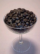コーヒー豆について語り合おう