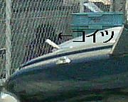 �أȡ��ңգˣ����ͤ��ɤä�����