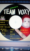 Team VOXY