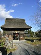 関東のお寺・神社巡り