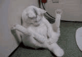 ��ͤ�ͷ�ܤ���