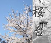 ��������ǯ´������⹻