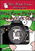 Pink Cow Photo Club