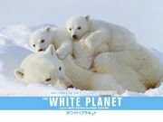 THE WHITE PLANET