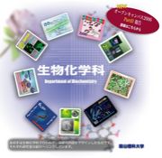 ���硡��ʪ���ز�2006