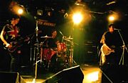 Arrow Root