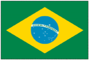 ブラジリアンメタル
