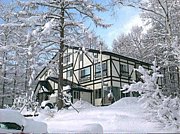 �ڥ󥷥�󡡿��νɡ���������