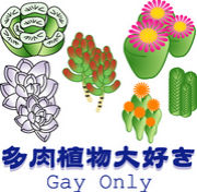 多肉植物大好き　Gay Only