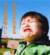 ���鸵����