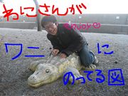�ȸ�♡�ώ����ٷ�̾Ź