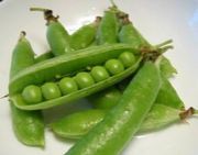 Company����ɥ�