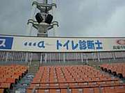 �ϥޤξ��ʥ��롼��