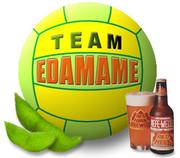 Team EDAMAME