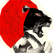 miho murakami