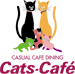 Cats-Cafe'  熊本クレア店