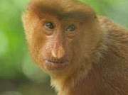 �ײ����ȿ������ζ��̤���