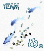 TEAM �ᡣ