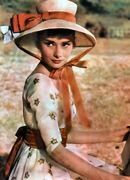 �����ɥ꡼�λפ����