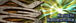 NGO -���跽��-