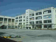 ���Ķ�Ω�翹��ϻ���ع�