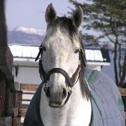 �������󥹥���