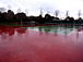 ˻ƤTennis