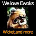 STAR WARSwe love EWOKS
