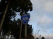 R306 ȳݡƽšå