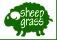 sheep grass