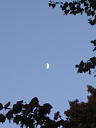 月 moon 写真 photo