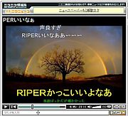RIPER from NOMARK