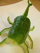 キュウリはカブト虫の味がする