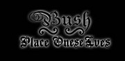 ��BUSH-