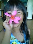 hawaii���ҡ���󥰡�laugh