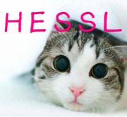 HESSL