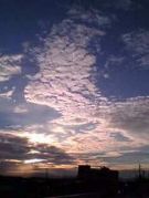 �ǥ�����̿���