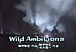 Wild Ambitions / YMO
