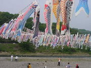 ��������ǯ��������ޤ�