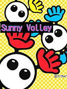 sunnyvolley