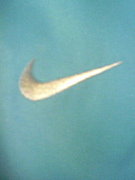 ������ÿʲ񣲣�����