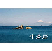���������ӥ󥰥����ӥ��Ϥޤ�